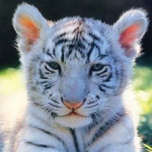 Meet your Posher, Sameera